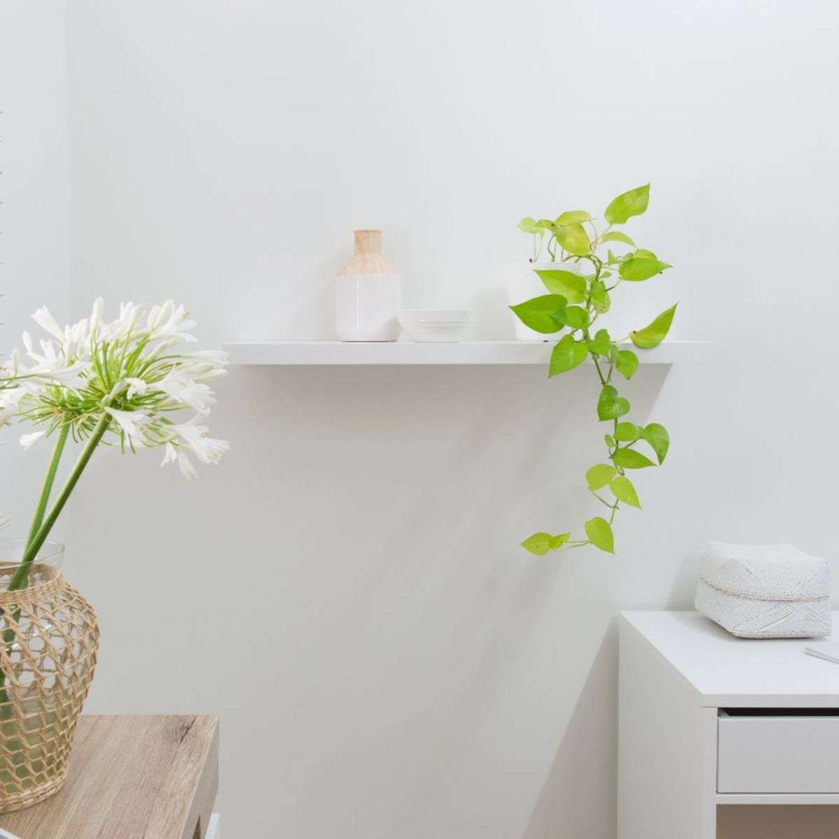Floating Shelf - 60cm - White