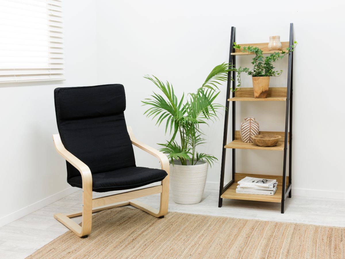 Urban Ladder Shelf - Black
