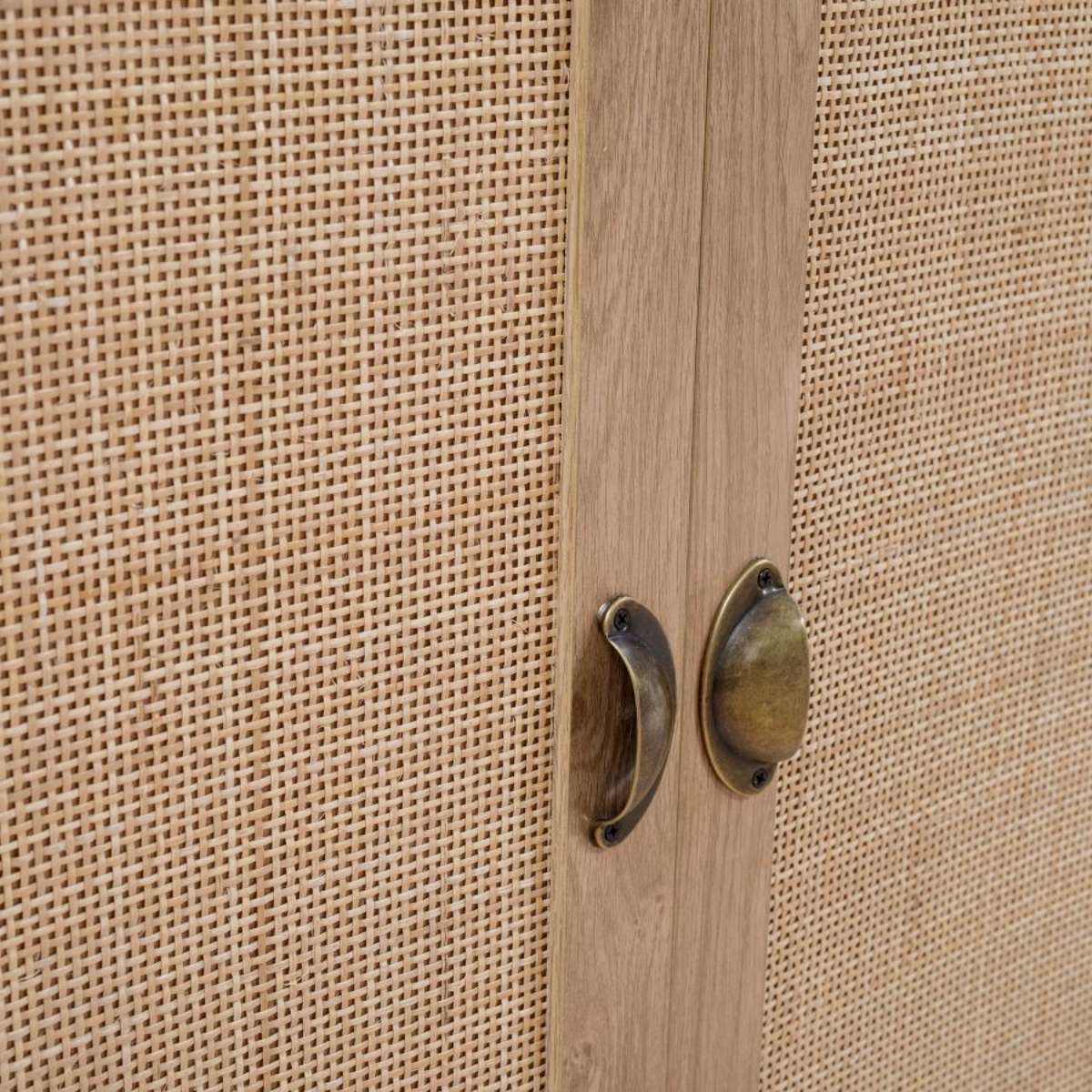 Savannah Two Door Cabinet