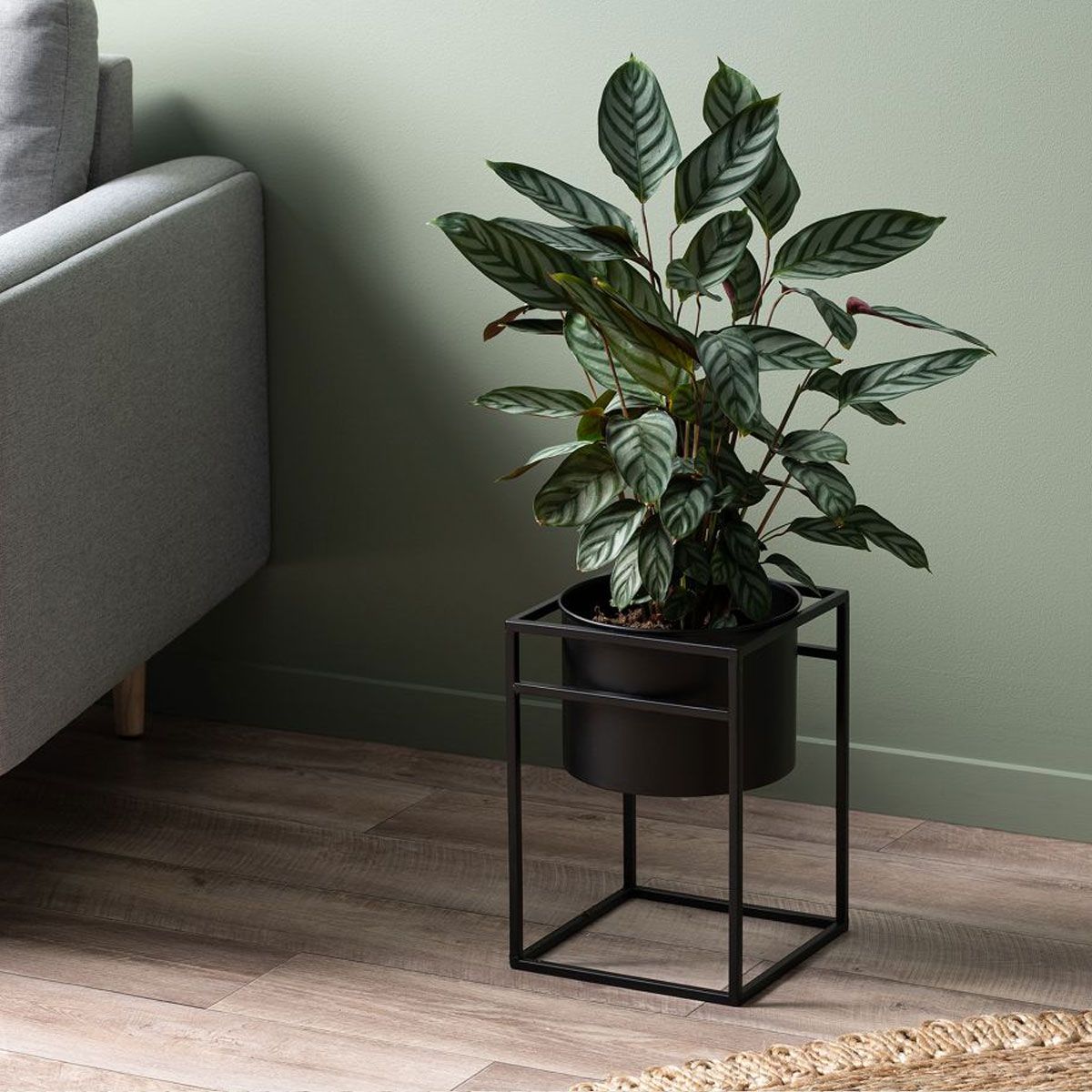 Brent Metal Plant Stand Black - Short