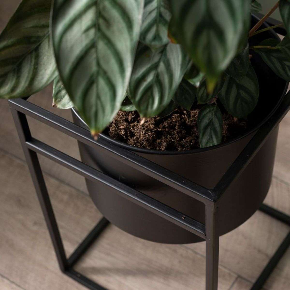 Brent Metal Plant Stand Black - Short