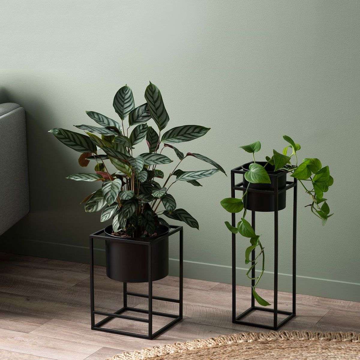 Brent Metal Plant Stand Black - Short