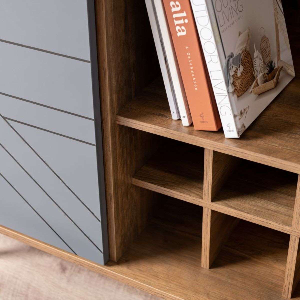 Zara Two Door Cabinet