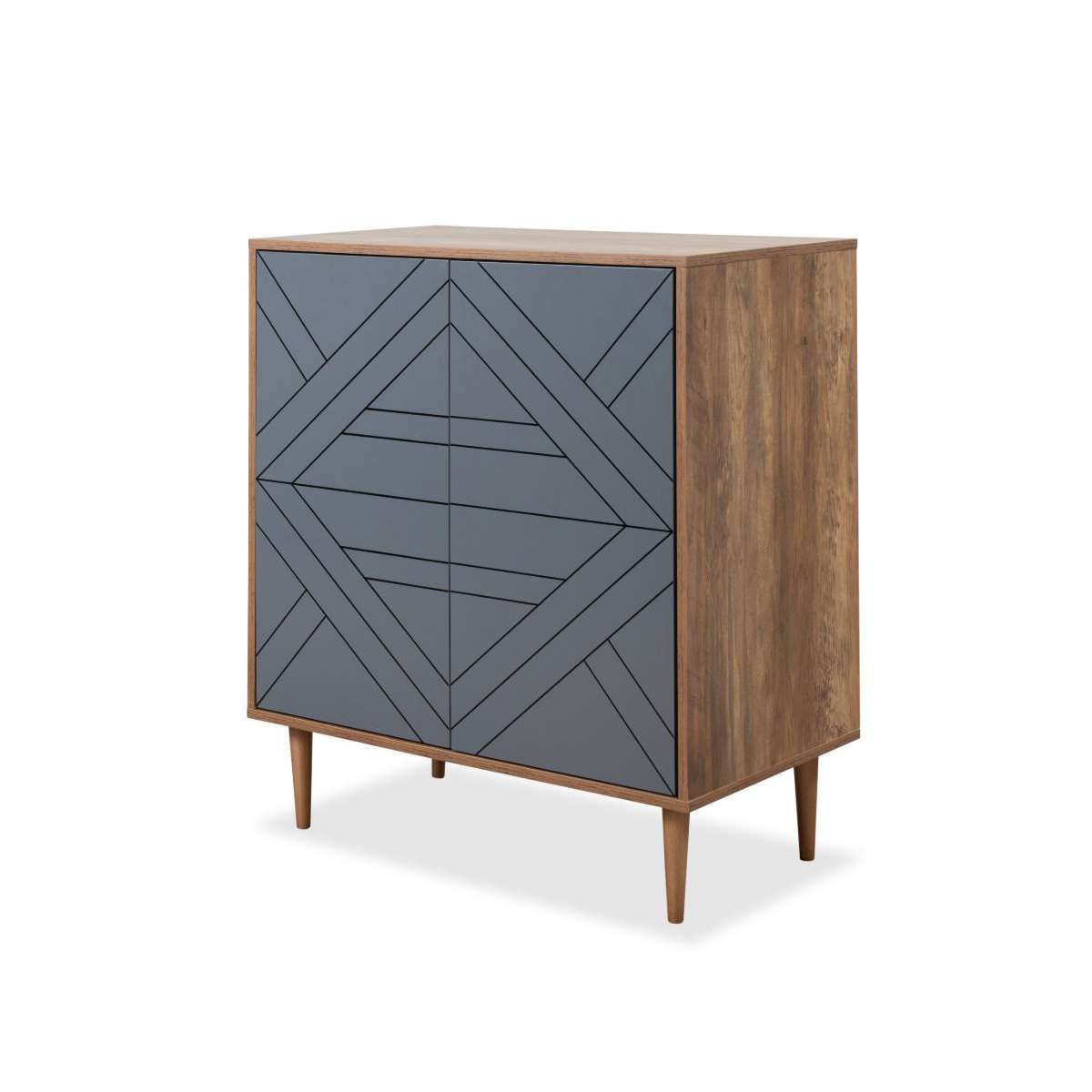 Zara Two Door Cabinet
