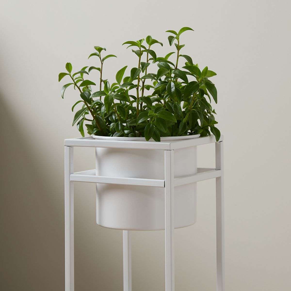 Brent Metal Plant Stand White - Tall