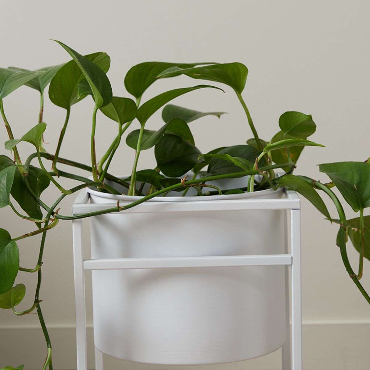 Brent Metal Plant Stand White - Tall