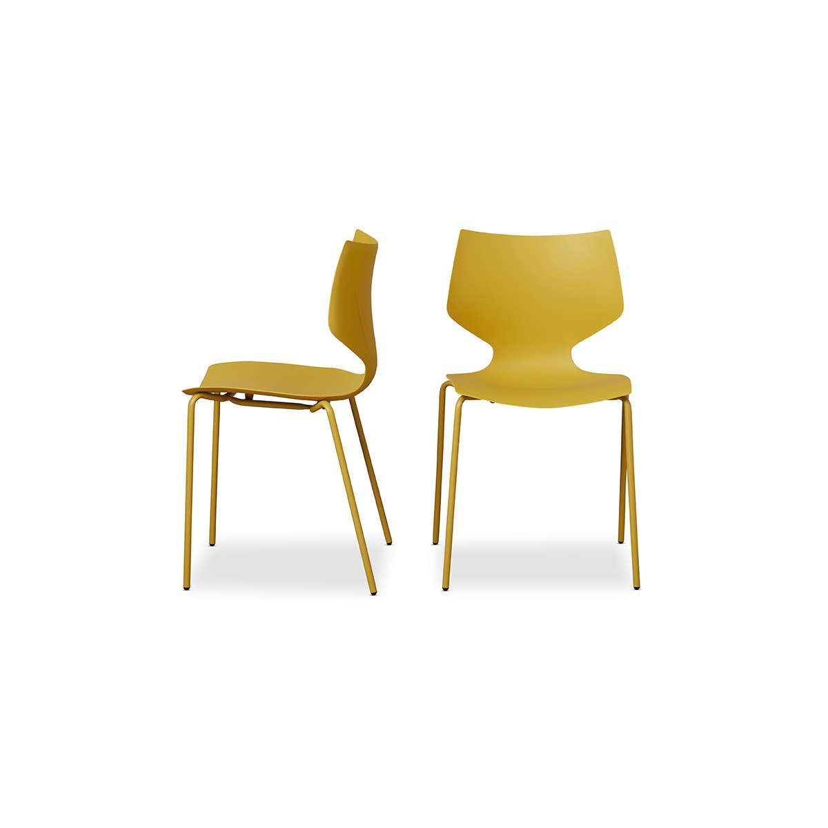 Pia Dining Chair - Set of 2 - Marigold